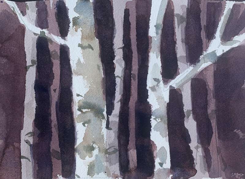 Easy watercolor painting ideas with Birch tress