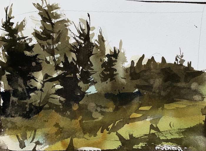 Easy watercolor painting ideas with Pine trees