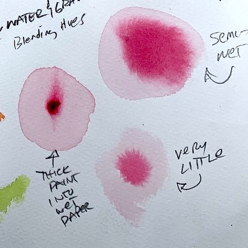 Understanding watercolor paint characteristics