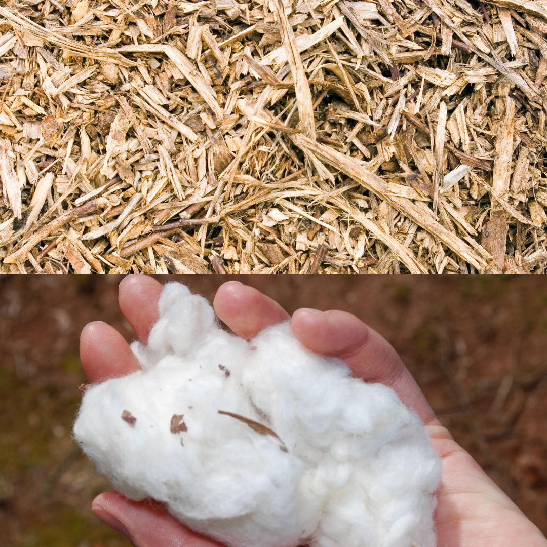 wood pulp and cotton image